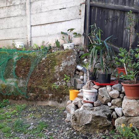 בראשוב Casa Adrian Camere Centru Vechi מראה חיצוני תמונה