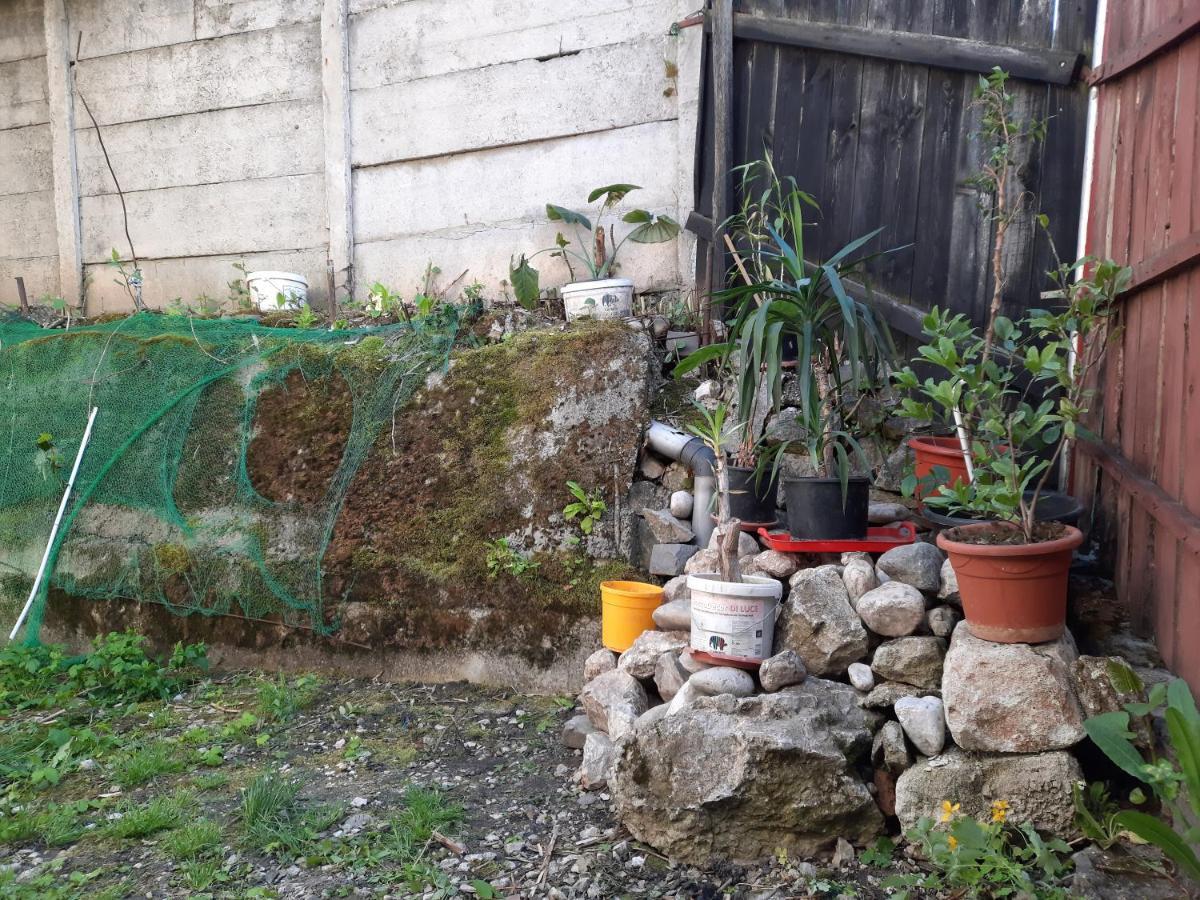 בראשוב Casa Adrian Camere Centru Vechi מראה חיצוני תמונה