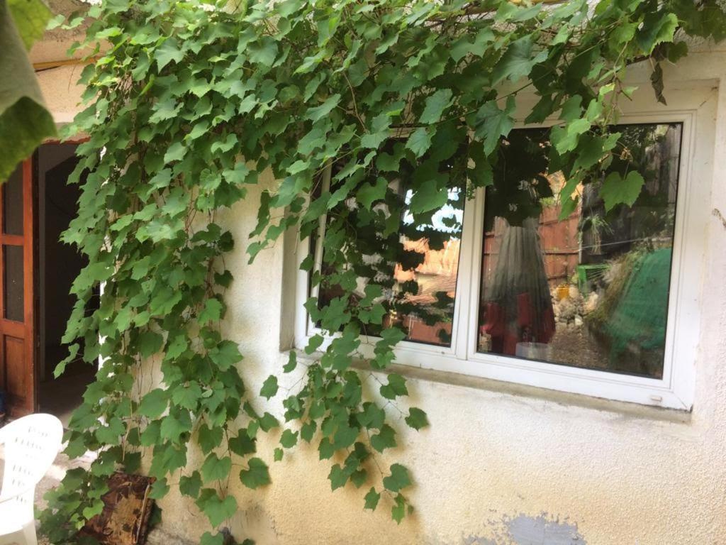 בראשוב Casa Adrian Camere Centru Vechi מראה חיצוני תמונה