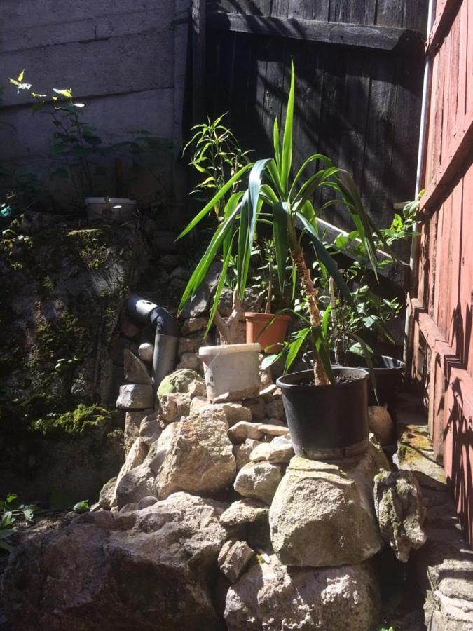 בראשוב Casa Adrian Camere Centru Vechi מראה חיצוני תמונה